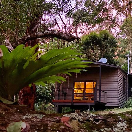Whispering Valley Cottage Retreat Maleny Bagian luar foto
