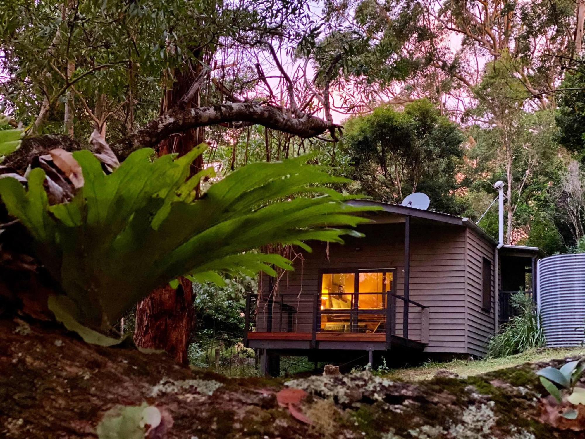 Whispering Valley Cottage Retreat Maleny Bagian luar foto