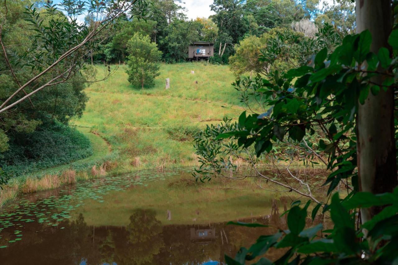 Whispering Valley Cottage Retreat Maleny Bagian luar foto