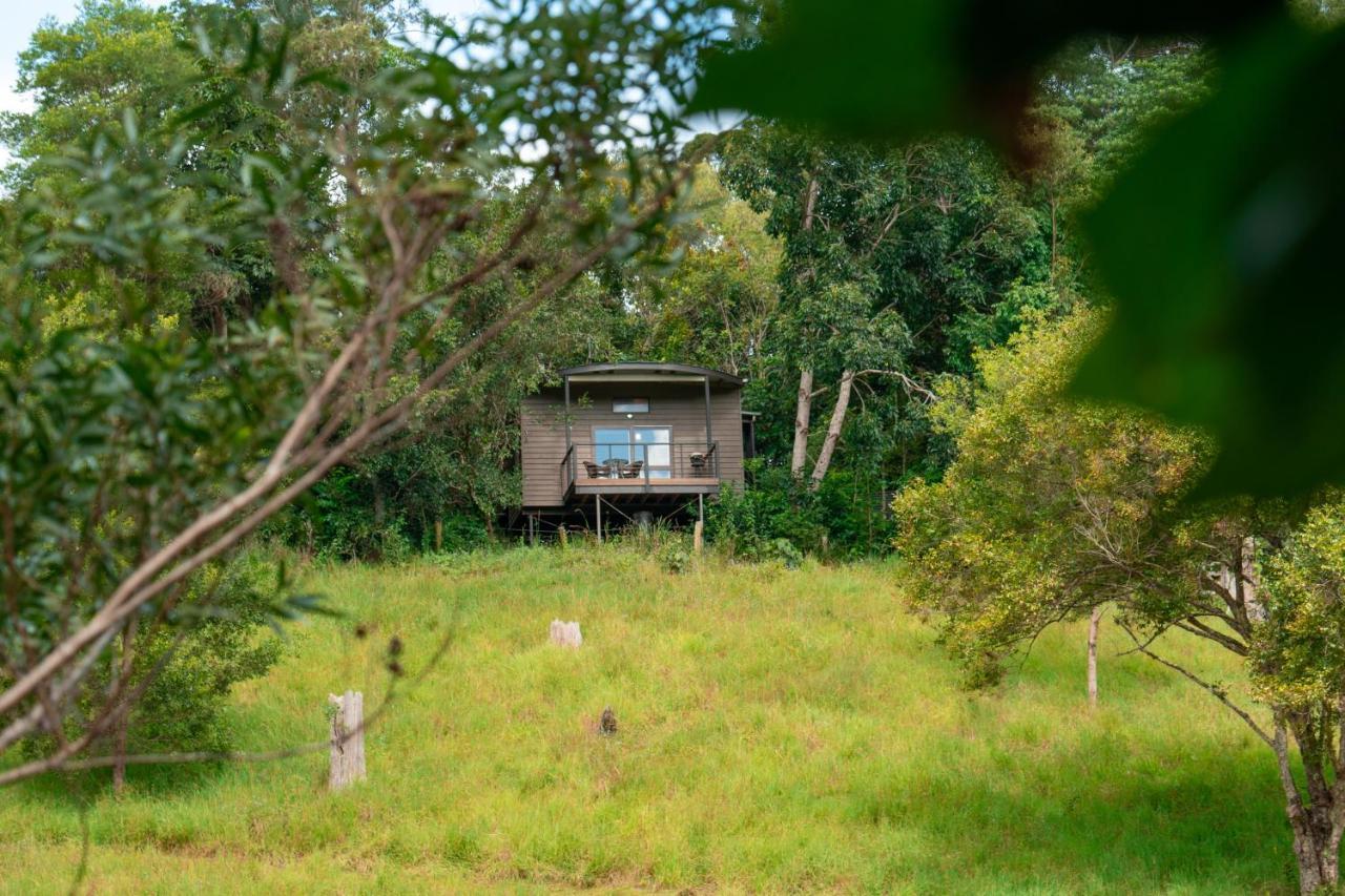 Whispering Valley Cottage Retreat Maleny Bagian luar foto
