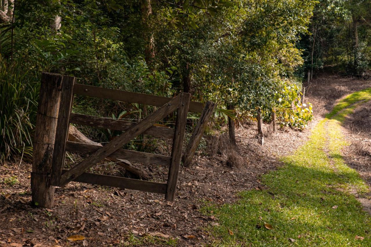 Whispering Valley Cottage Retreat Maleny Bagian luar foto