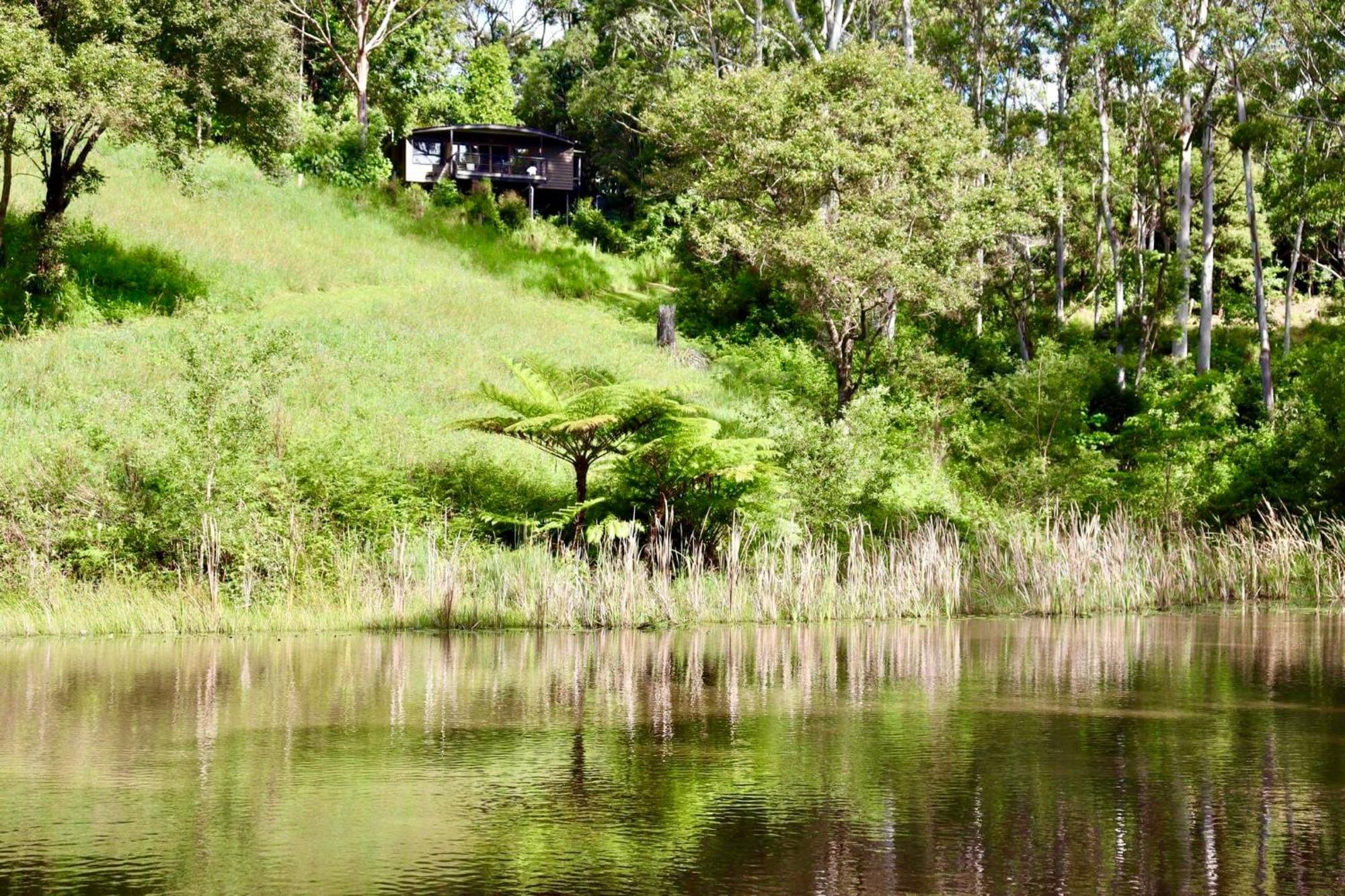 Whispering Valley Cottage Retreat Maleny Bagian luar foto