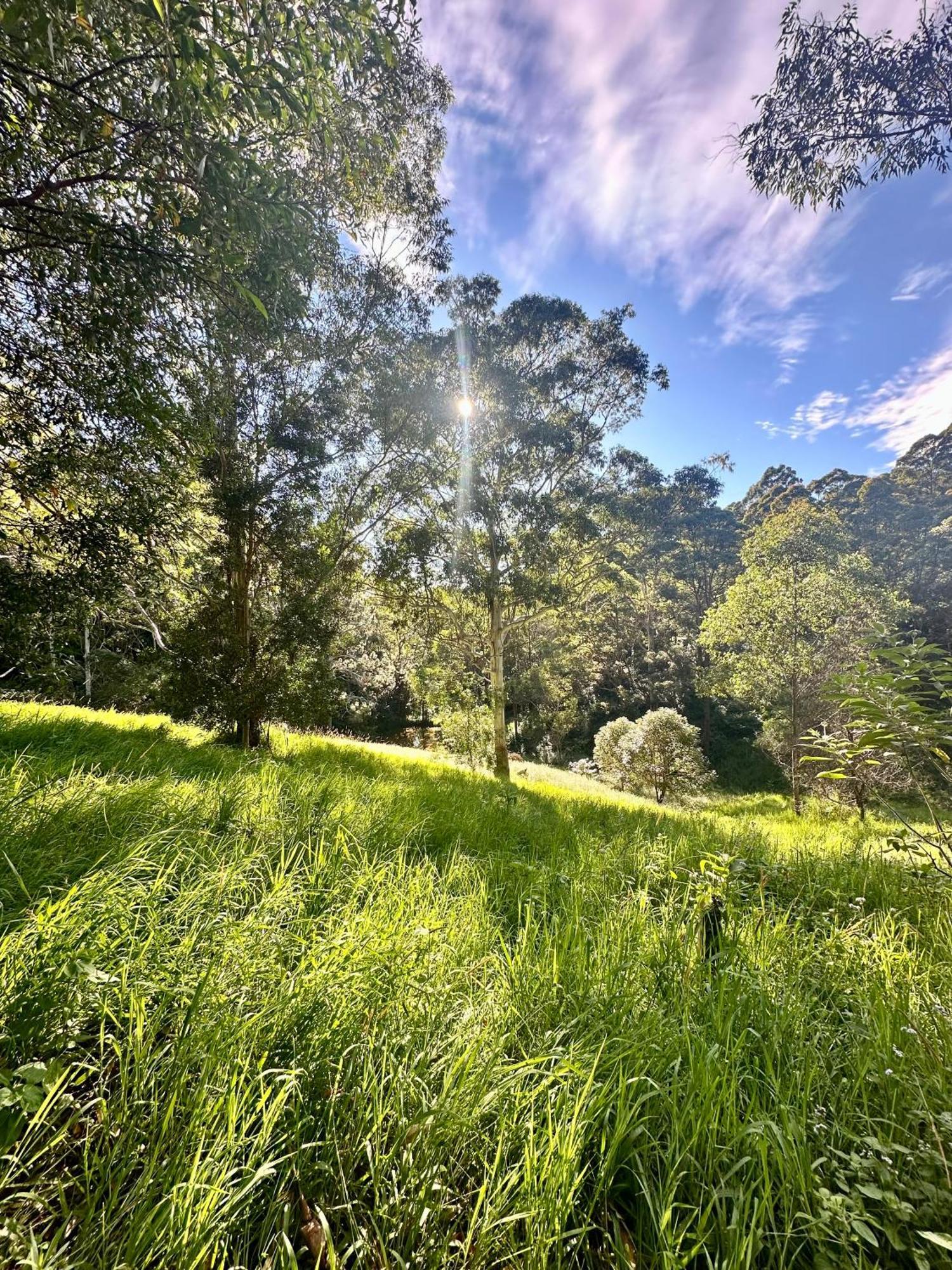 Whispering Valley Cottage Retreat Maleny Bagian luar foto
