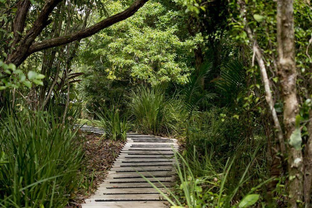 Whispering Valley Cottage Retreat Maleny Bagian luar foto